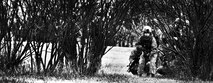 MINOT AIR FORCE BASE, N.D. - 791st Missile Security Forces Squadron convoy response force members conducted an exercise here, Oct. 23. Response teams had the opportunity to test the effectiveness of two sets of Air Force uniforms on natural terrain during the exercise. (U.S. Air Force photo/Airman 1st Class Andrew Crawford)