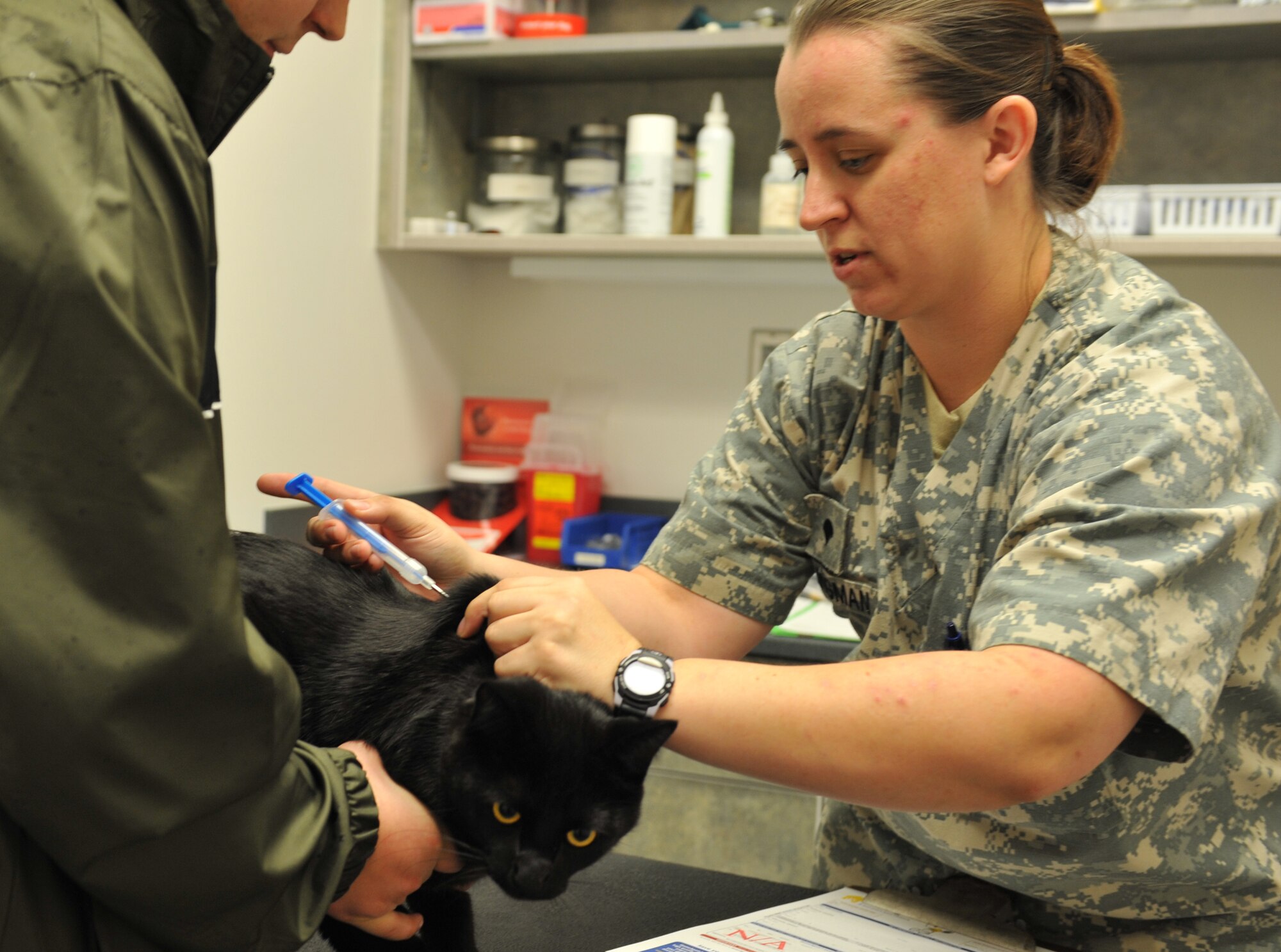 U.S. Army Specialist Ashley Klingman, U.S. Army Public Health Command District-Carson, injects a microchip in Meko, a feline, Oct. 17 at Whiteman Air Force Base, Mo. The Whiteman Veterinarian Clinic is available for dog and cat vaccinations, microchip and nail trim. (U.S. Air Force photo/Heidi Hunt) (Released)