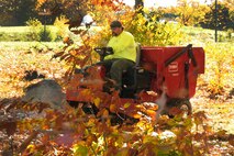 HANSCOM AIR FORCE BASE, Mass. - Rick D. Holt Jr., from Civil Engineering roads and grounds, removes leaves near Randolph Street Oct. 22. CE personnel work throughout all seasons to maintain base grounds. (U.S. Air Force photo by Linda LaBonte Britt)