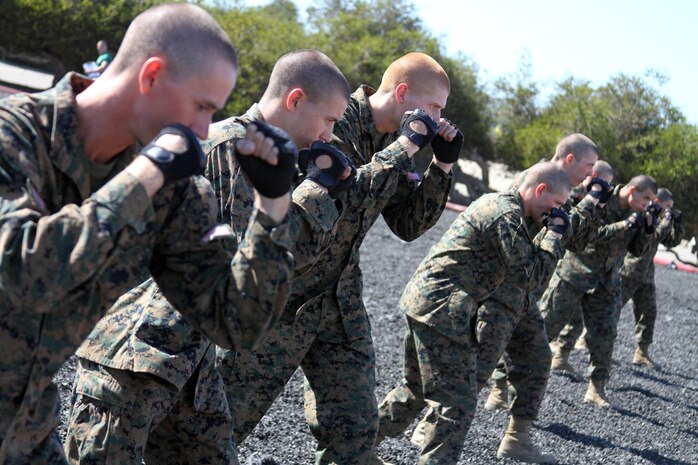 Recruits of Company C, 1st Recruit Training Battalion, stand in the 'basic warrior stance' awaiting an order to do a technique Oct. 24 aboard Marine Corps Recruit Depot San Diego. Recruits must test out by doing every technique properly to earn their tan belt, the first of five belts in the Marine Corps Martial Arts Program.