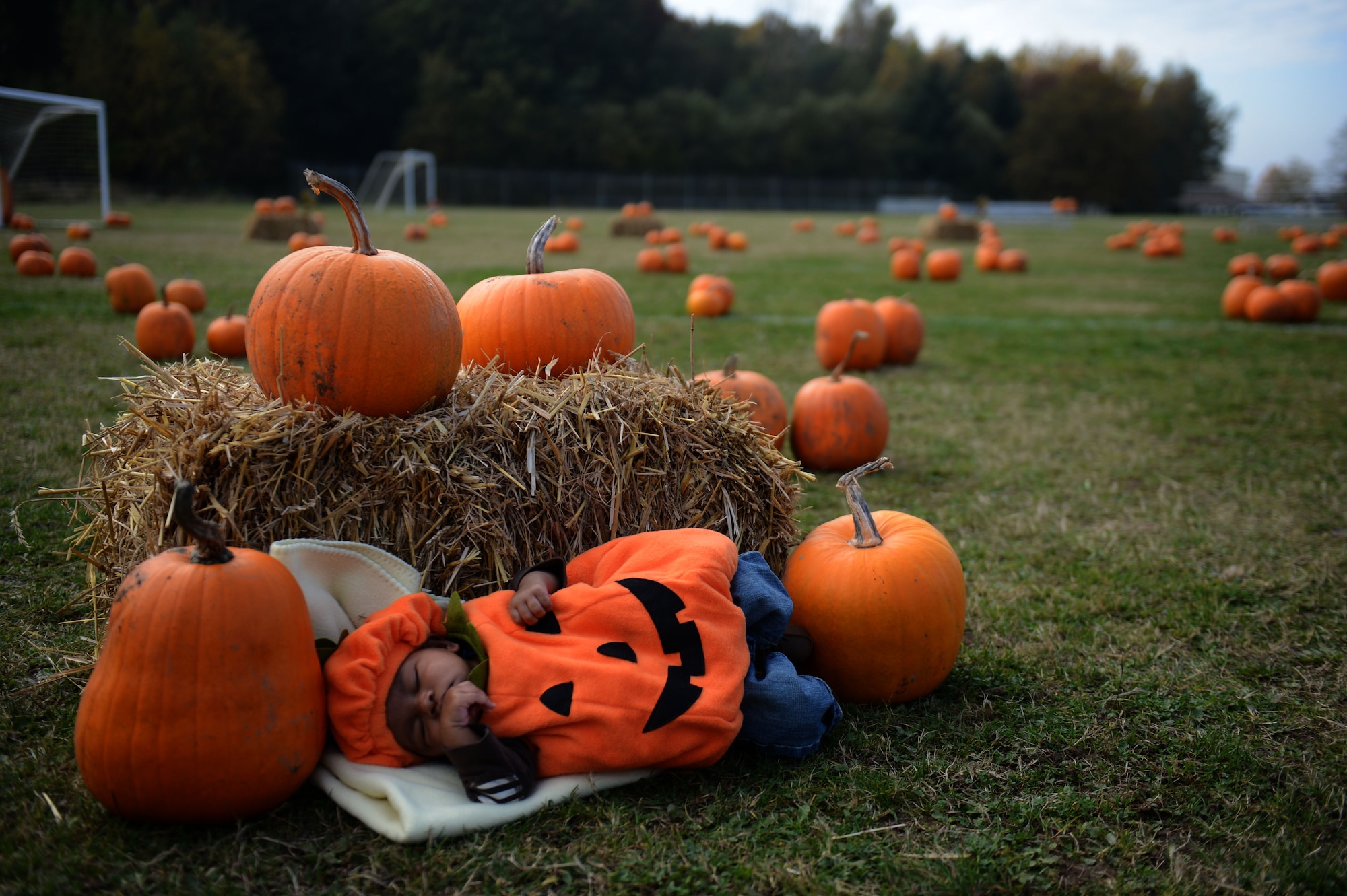 SPANGDAHLEM AIR BASE, Germany – Jonathan Barker, son of Staff Sgt. Mychel and Senior Airman Jasmine Barker, takes a nap in a field of pumpkins near the child development center during a pumpkin patch event Oct. 25, 2012.  The 52nd Force Support Squadron Airman and Family Services Flight sponsor this event to give back to 52nd Fighter Wing families in preparation for the holidays. (U.S. Air Force photo by Airman 1st Class Gustavo Castillo/Released)