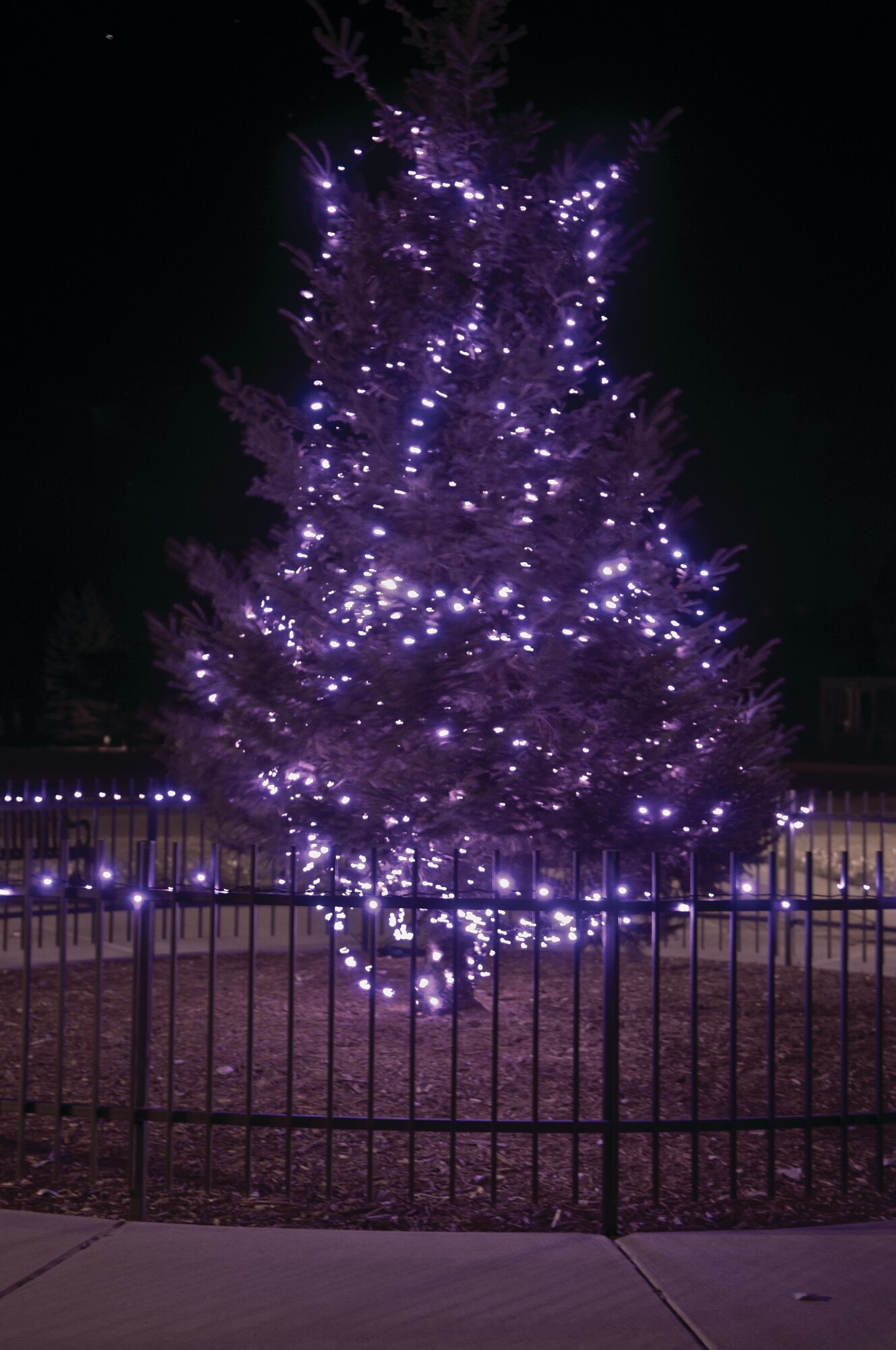 A tree outside the Fall Hall Community Center is lit with purple lights to ‘shine light on the problem of domestic violence’ Oct. 14. Warren hosted the lighting of this tree and several other events in support of Domestic Violence Awareness month. (U.S. Air Force photo by Airman 1st Class Jason Wiese)