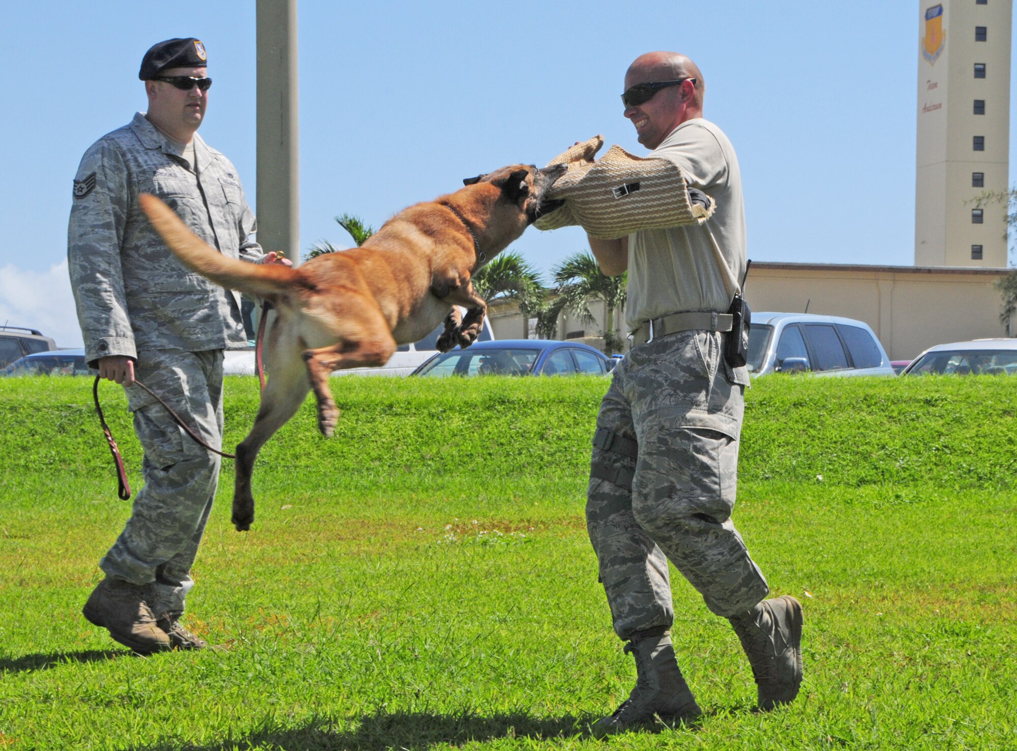 ANDERSEN AIR FORCE BASE, Guam –
Airmen from the 36th Security Forces Squadron and Cila, a 36th SFS military working dog, demonstrate how a dangerous person is apprehended upon command during a career advancement tour for students and chaperons from the Guam Community College here, Oct. 19.(U.S. Air Force photo/Airman 1st Class Marianique Santos/Released)