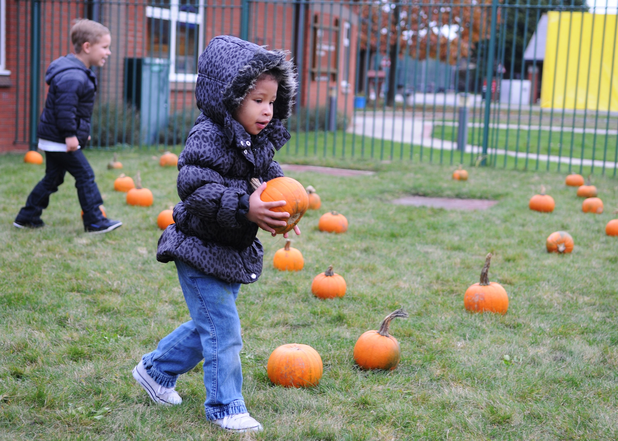 Brie’ann Long, 3, daughter of Tech. Sgt. Demetrius Long, 48th Force Support Squadron sports director, picks a pumpkin from a pumpkin patch during the Child Development Center Fall Festival, Oct. 26, 2012 at RAF Mildenhall, England.  More than 100 families participated in the festival that was organized by the RAF Mildenhall Parent Advisory Committee.  (U.S. Air Force photos by Staff Sgt. Tabitha M. Lee/released)