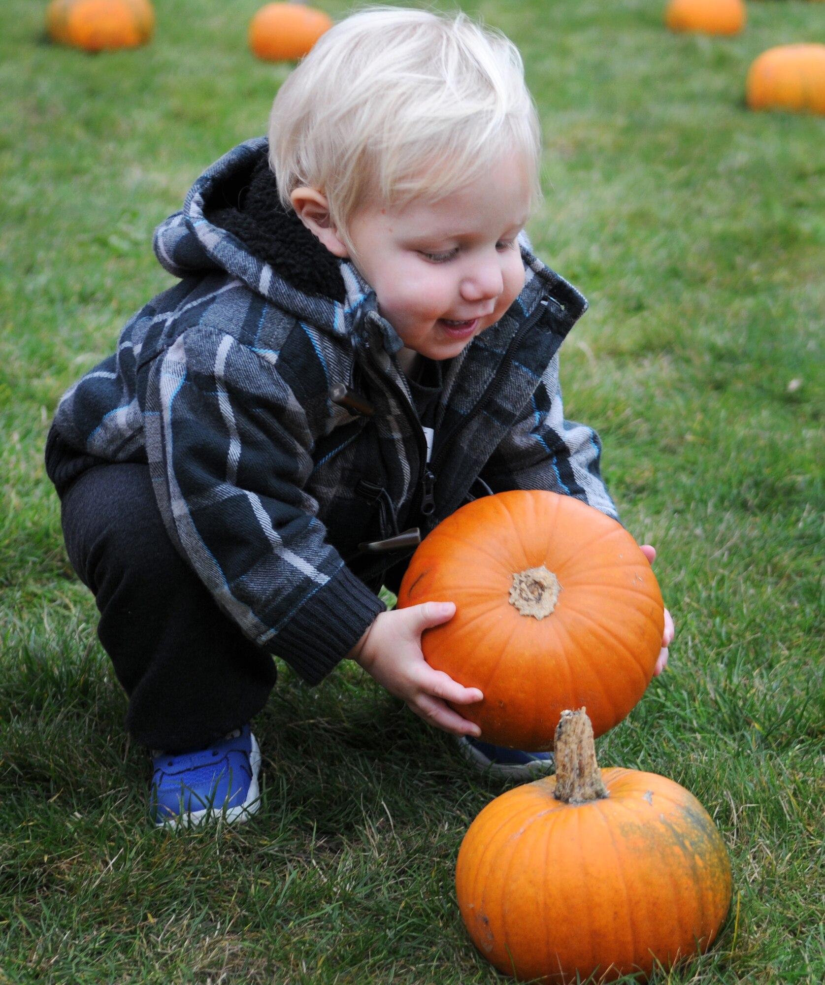A child picks a pumpkin from a pumpkin patch during the Child Development Center Fall Festival, Oct. 26, 2012 at RAF Mildenhall, England.  More than 100 families participated in the festival.  (U.S. Air Force photos by Staff Sgt. Tabitha M. Lee/Released)