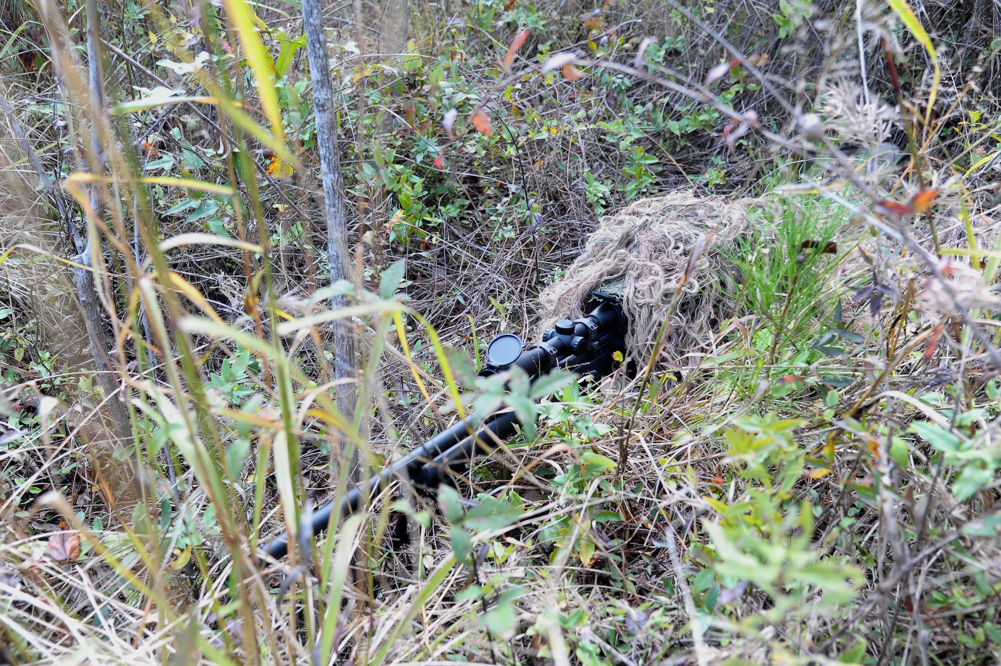 Airman 1st Class Tiffani Potter, 14th Security Forces Squadron lies prone in a brush-covered area on Columbus Air Force Base to demonstrate the effectiveness of her ghille suit on Oct. 26. Local live foliage is added to the suit to allow the sniper to better blend into the current surroundings. (U.S. Air Force Photo/Airman 1st Class Charles Dickens)
