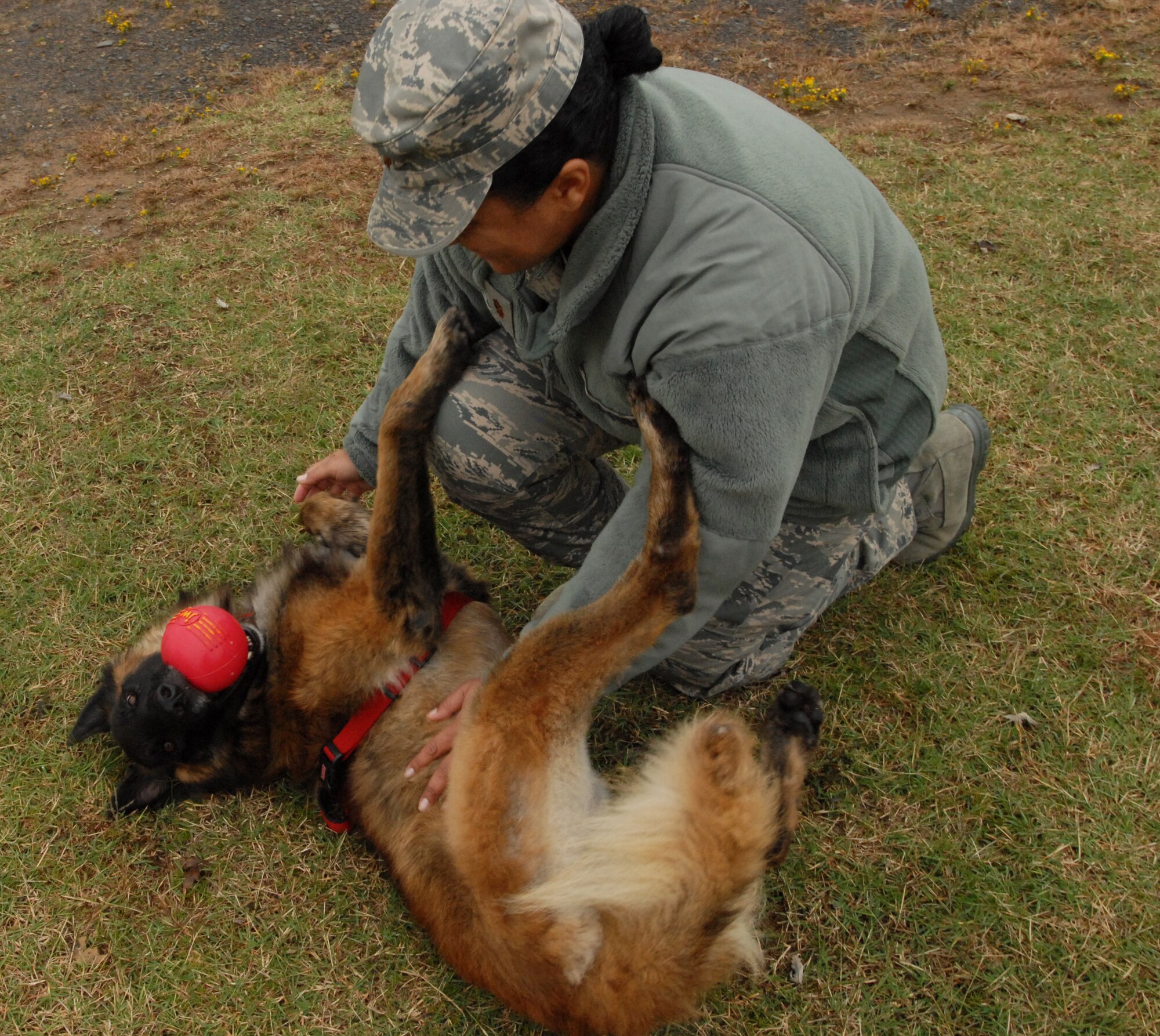 Mwd adoption hotsell