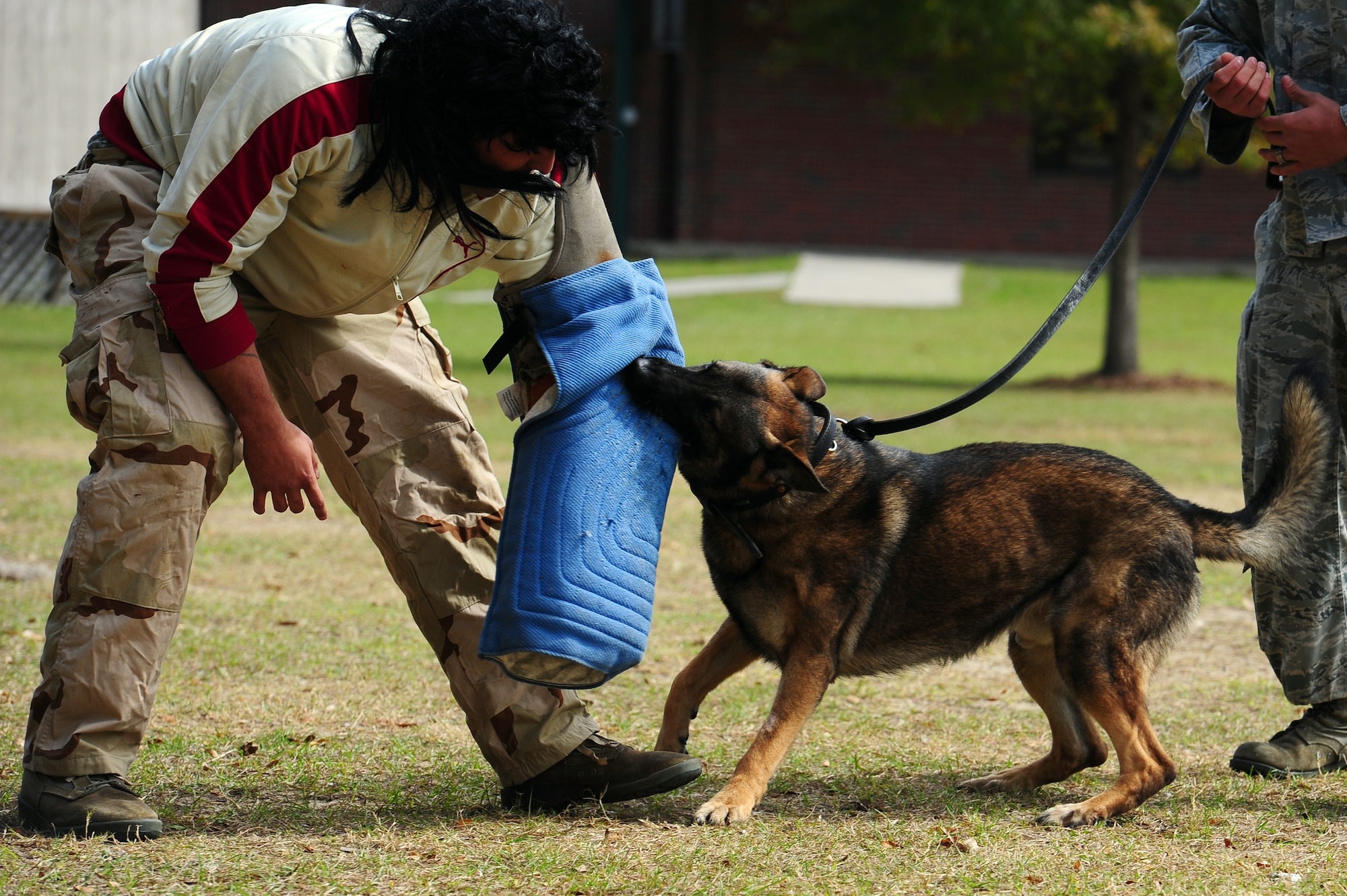 Senior Airman Luis Diaz Garcia, 628th Security Forces Squadron K-9 handler, is being bitten by military working dog Hulk during a drug-detection demonstration for Red Ribbon Week Oct. 30, 2012, at Hunley Park Elementary School, North Charleston, S.C. This year’s Red Ribbon Week them is "The Best Me Is Drug Free." The campaign began after the 1985 murder of Federal Drug Enforcement Administration Agent, Enrique Camarena, while he was investigating Mexican drug traffickers. Red Ribbon Week allows educators, parents, community groups, students and others to focus on the work being done by the many who have pledged to live drug free. (U.S. Air Force photo/ Airman 1st Class Chacarra Walker) 