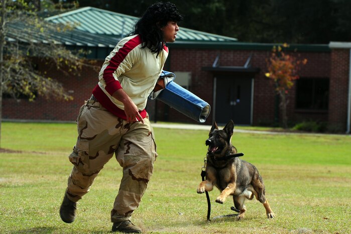 Senior Airman Luis Diaz Garcia, 628th Security Forces Squadron K-9 handler, runs from military working dog Hulk during a drug-detection demonstration for Red Ribbon Week Oct. 30, 2012, at Hunley Park Elementary School, North Charleston, S.C. This year's theme is "The Best Me Is Drug Free." The campaign began after the 1985 murder of Federal Drug Enforcement Administration Agent, Enrique Camarena, while he was investigating Mexican drug traffickers. Red Ribbon Week allows educators, parents, community groups, students and others to focus on the work being done by the many who have pledged to live drug free. (U.S. Air Force photo/ Airman 1st Class Chacarra Walker)