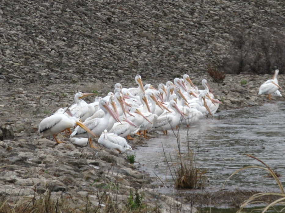 Great Salt Plains