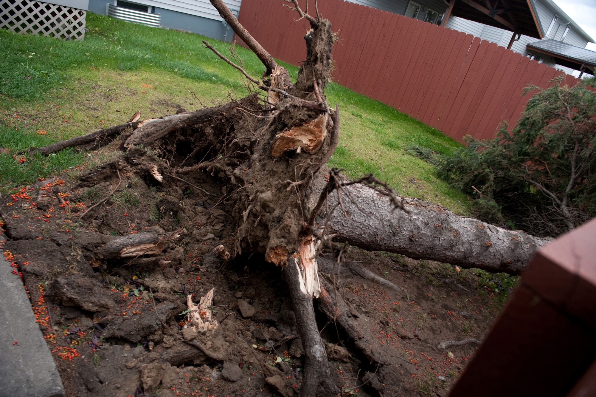 An arctic storm, producing winds gusting to more than 100 miles per hour, caused extensive damage Sept. 4 and 5, including knocking down street signs and trees on Joint Base Elmendorf-Richardson, Alaska. Emergency personnel's first priority after the storm was clearing streets for safe traffic flow. (U.S. Air Force photo/Staff Sgt. Robert Barnett)