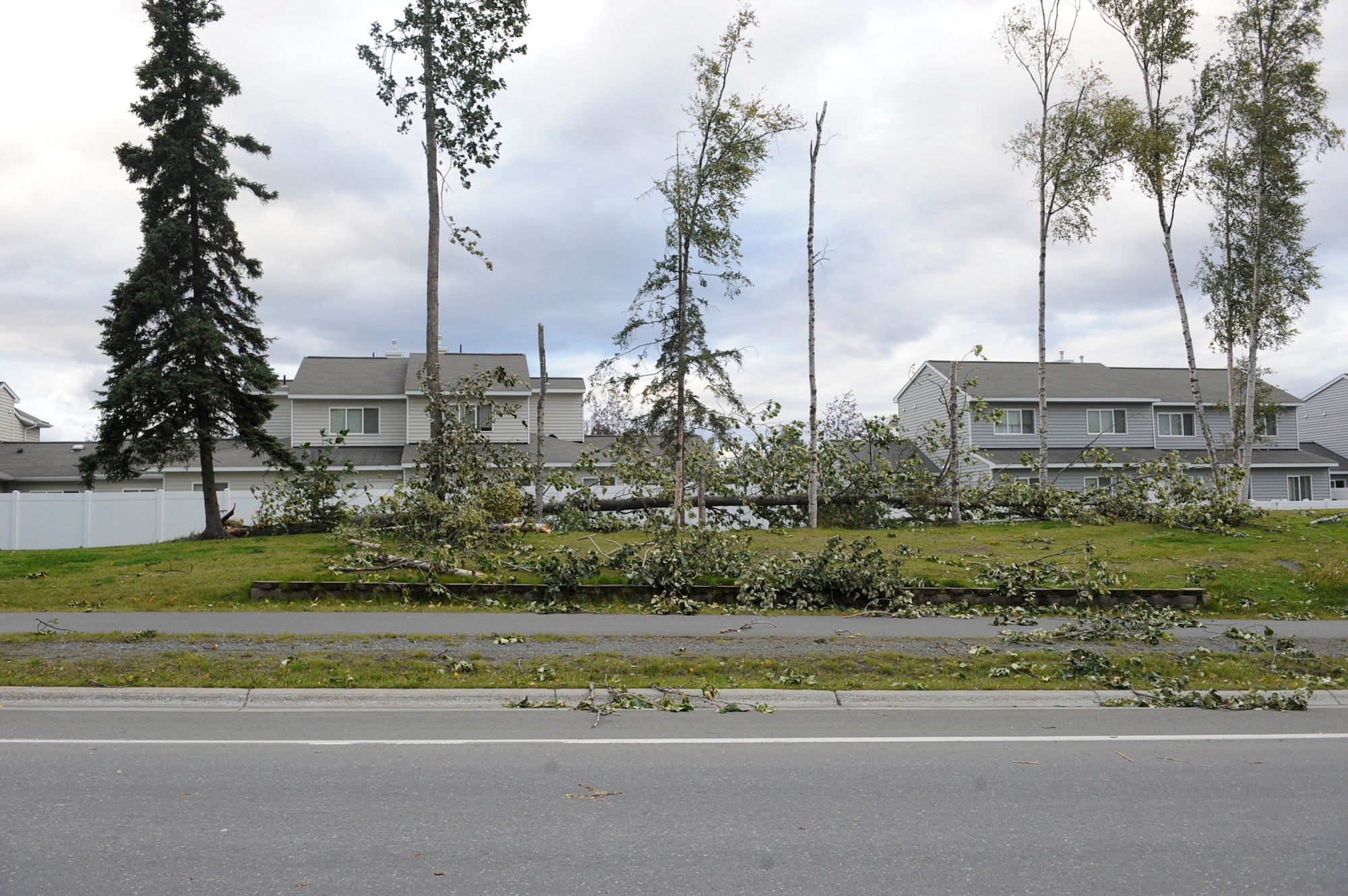An arctic storm, producing winds gusting to more than 100 miles per hour, caused extensive damage Sept. 4 and 5, including knocking down street signs and trees on Joint Base Elmendorf-Richardson, Alaska. Emergency personnel's first priority after the storm was clearing streets for safe traffic flow. (U.S. Air Force photo/Staff Sgt. Robert Barnett)