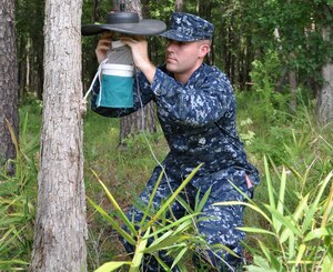 A member of the Naval Health Clinic Charleston Preventive Medicine team conducts live trapping and monitoring of mosquito populations across Joint Base Charleston. Recent numbers of mosquitoes trapped on JB Charleston have been very high and preventive measures are advised for anyone traveling outdoors. (U.S. Navy photo)