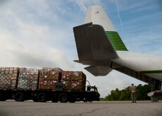 Senior Airman David May, 437th Aerial Port Squadron air transportation journeyman, guides Senior Airman Ivan Fernandez, 437th APS, journeyman as he positions the 60k tunner for unloading Aug. 29, 2012, at Joint Base Charleston – Air Base, S.C. The pallets contained food and medical supplies to assist the U.S. embassy Soto Cano, Honduras. (U.S. Air Force photo by Staff Sgt. Katie Gieratz)