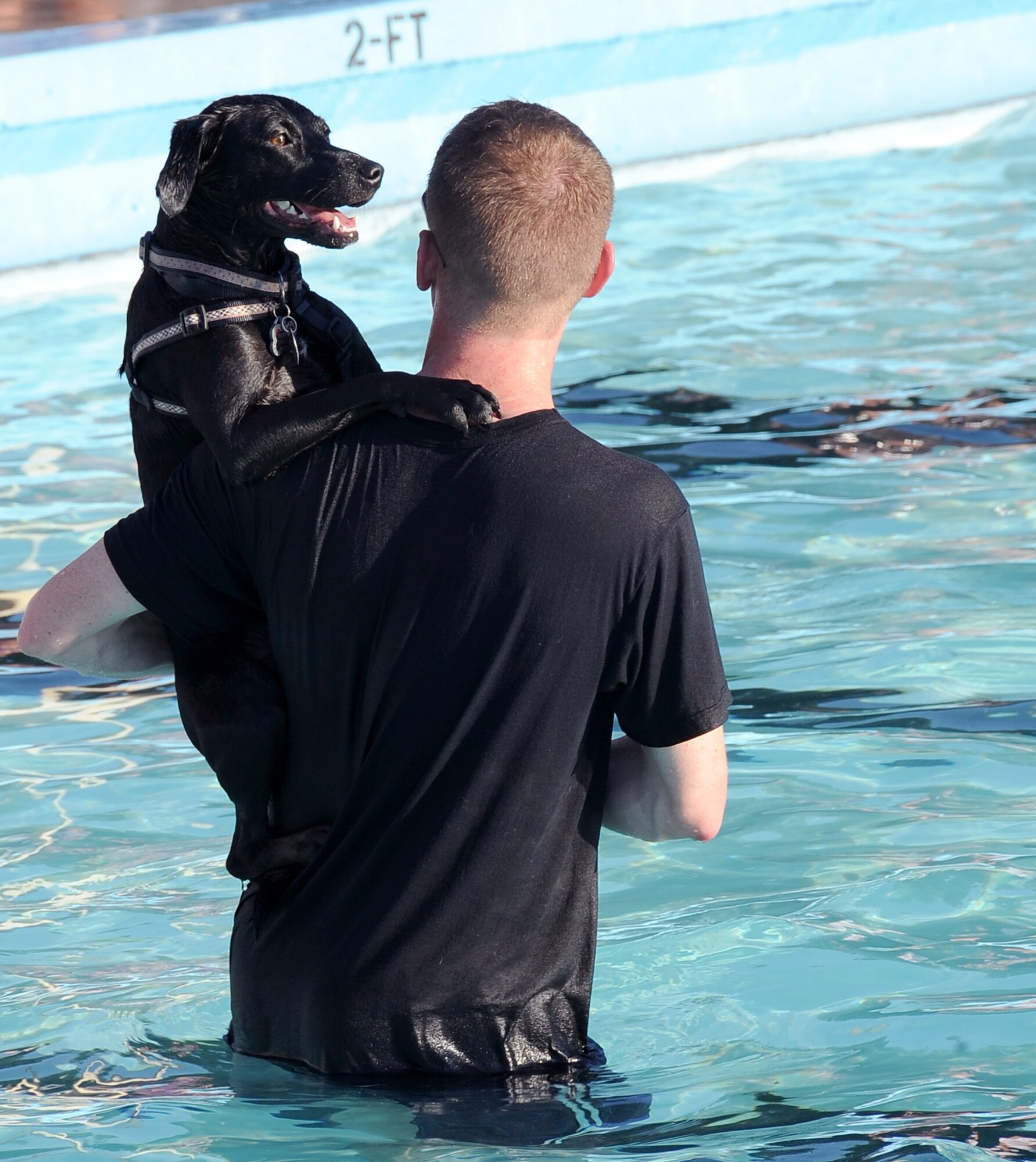 A dog holds onto its owner during a dip in the North Pool on Barksdale Air Force Base, La., Sept. 4. The North Pool remained open for an additional day for more than 100 dogs and their families to enjoy a swim. Dog-friendly goodie bags were given to each family and raffles were held for leather collars embroidered with the Air Force symbol and grooming gift certificates. (U.S. Air Force photo/Staff Sgt. Amber Ashcraft)(RELEASED)