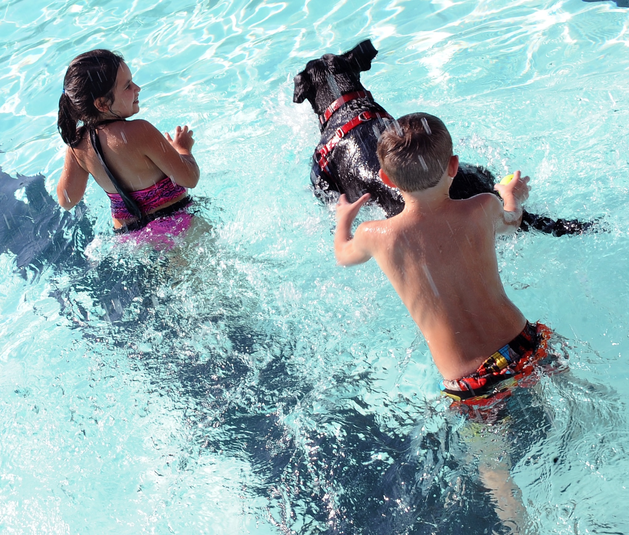 Children play fetch with their dog at the North Pool on Barksdale Air Force Base, La., Sept. 4. The dog-friendly swim event has been held at least five years in a row to celebrate the last day of summer. The number of dogs more than tripled from last year, with 115 dogs enjoying this year's celebration of the end of summer. (U.S. Air Force photo/Staff Sgt. Amber Ashcraft)(RELEASED)