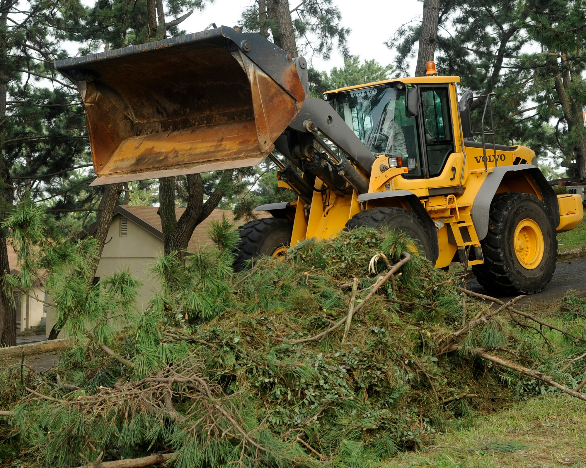 Members of the 8th Civil Engineer squadron  pick up downed trees caused by Typhoon Bolaven at Kunsan Air Base, Republic of Korea, Aug. 29, 2012 . The base was quick to clean things up while maintaining essential operations. (U.S. Air Force photo/Senior Airman Marcus Morris)