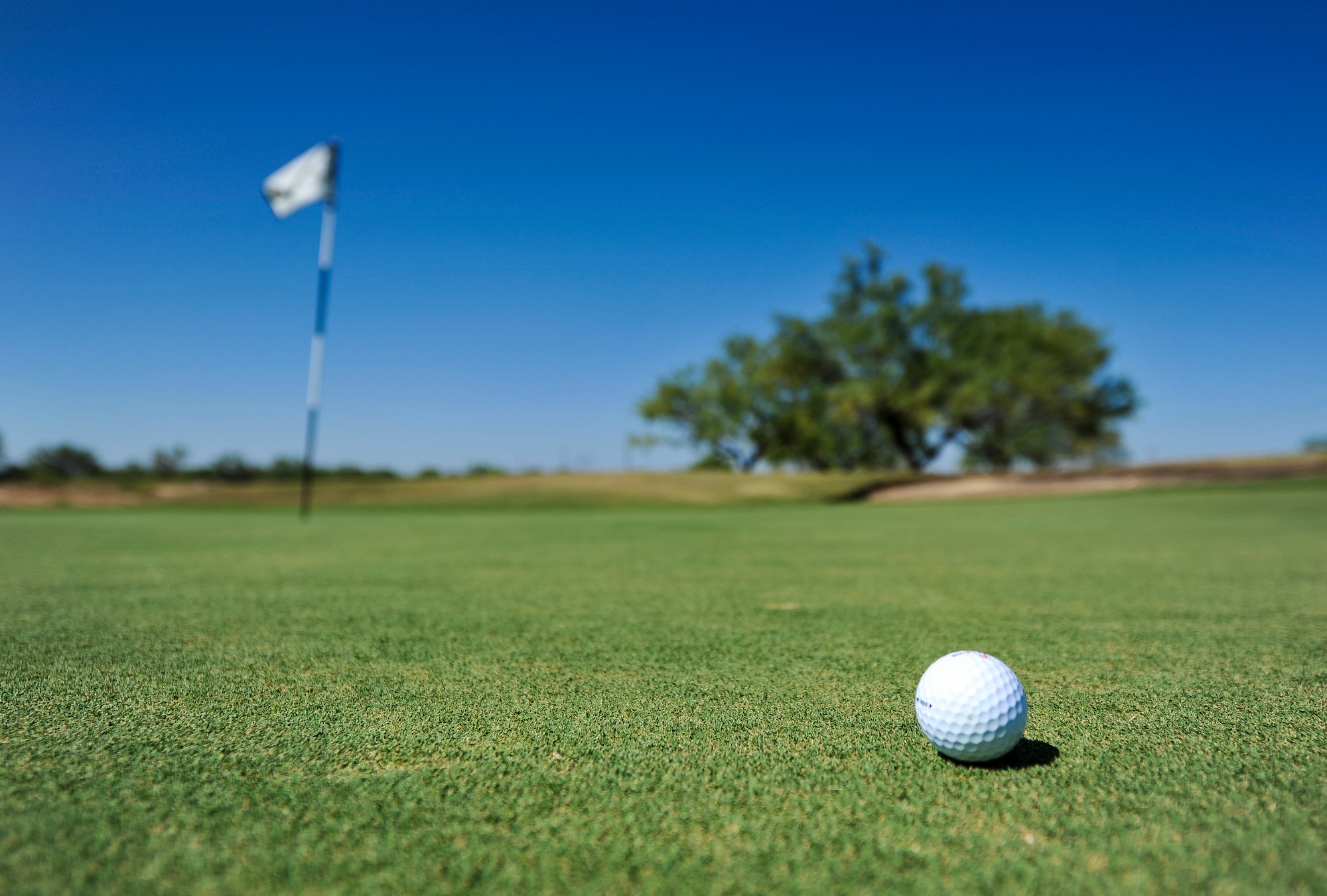 SAN ANGELO, Texas--A golf ball sits in the grass during the 2012 Friendship Golf Tournament at Quicksand Golf Course Sept. 7. The event was hosted by the San Angelo Chamber of Commerce to help raise funds for the First Sergeant's Council to support Operation Warmheart and other base-wide programs that support service members and their families during deployments and emergencies. (U.S. Air Force Photo /Airman 1st Class Michael Smith)