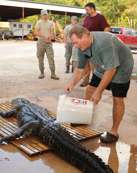 Lloyd Webb, 917th Fighter Group quality assurance, pours water on an alligator after being caught by a hunter on Barksdale Air Force Base, La., Sept. 7. The hunting is open for two weeks, from Sept. 1-16. (U.S. Air Force photo/Senior Airman Sean Martin) (RELEASED)