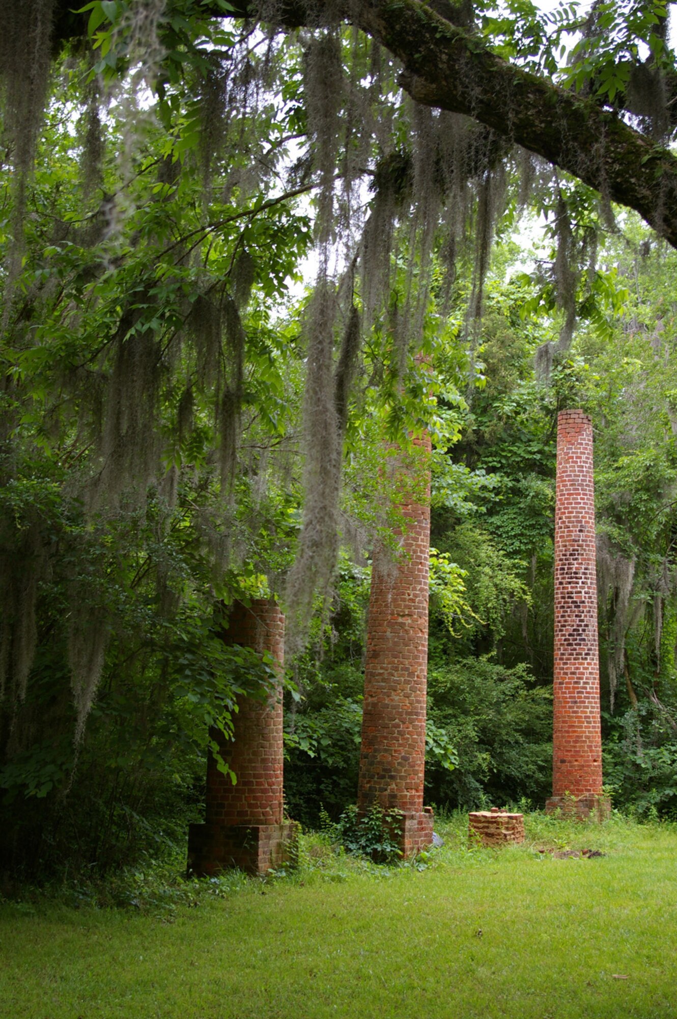 These columns are the ruins of the R. C. Crocheron home, built in 1843. The house overlooked the Cahaba and Alabama Rivers until fire destroyed it in 1920. (Photos courtesy of the Old Cahawba Archaeological Park)