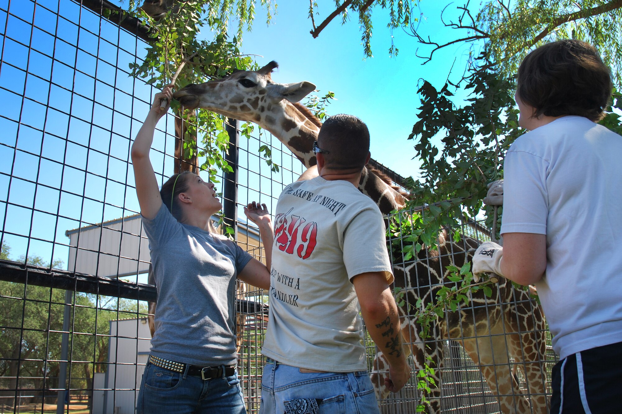 A group of volunteers from Cannon Air Force Base, N.M., have some fun feeding a giraffe at The Hillcrest Zoo, Clovis, N.M., Aug. 31, 2012. Cannon's 5/6ers organized and coordinated the volunteer beautification project between base personnel and the zoo. (Courtesy photo)  