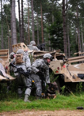 STANTA, Norfolk – Members from the 100th Security Forces Squadron, including Military Working Dog Zulton, scramble to help wounded members of their team after they are ambushed during a training exercise at Stanford Training Area, Thetford, Sept. 4, 2012. The RAF Mildenhall members worked alongside Royal Air Force members from 15 Squadron, RAF Honington; No. 2 Tactical Police Squadron, RAF Henlow; and No. 7 Force Protection Wing Headquarters, RAF Coningsby, during a mission rehearsal exercise lasting several days. Forty 100th SFS members and two military working dogs played the role of the U.S. Marine Corps, helping the RAF hone their skills and provide realistic training for when they deploy to Afghanistan. (U.S. Air Force photo/Karen Abeyasekere)