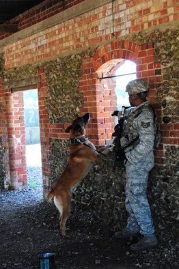 STANTA, Norfolk – Military Working Dog Ootto and Staff Sgt. Billy Lofton, 100th Security Force Squadron Military Working Dog handler, patrol buildings around "Forward Operating Base Oakwood" Sept. 4, 2012, during a mission rehearsal exercise, also known as MRX, at Stanford Training Area, Thetford. The MRX was joint training between the U.S. Air Force and British Royal Air Force regiments, before the RAF members deploy to Afghanistan. (U.S. Air Force photo/Karen Abeyasekere)