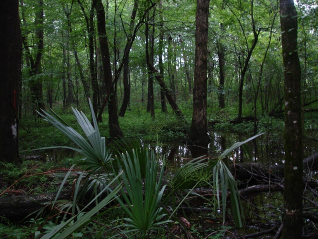 The Charleston District serves as the nation's environmental engineer regulating waters of the United States.