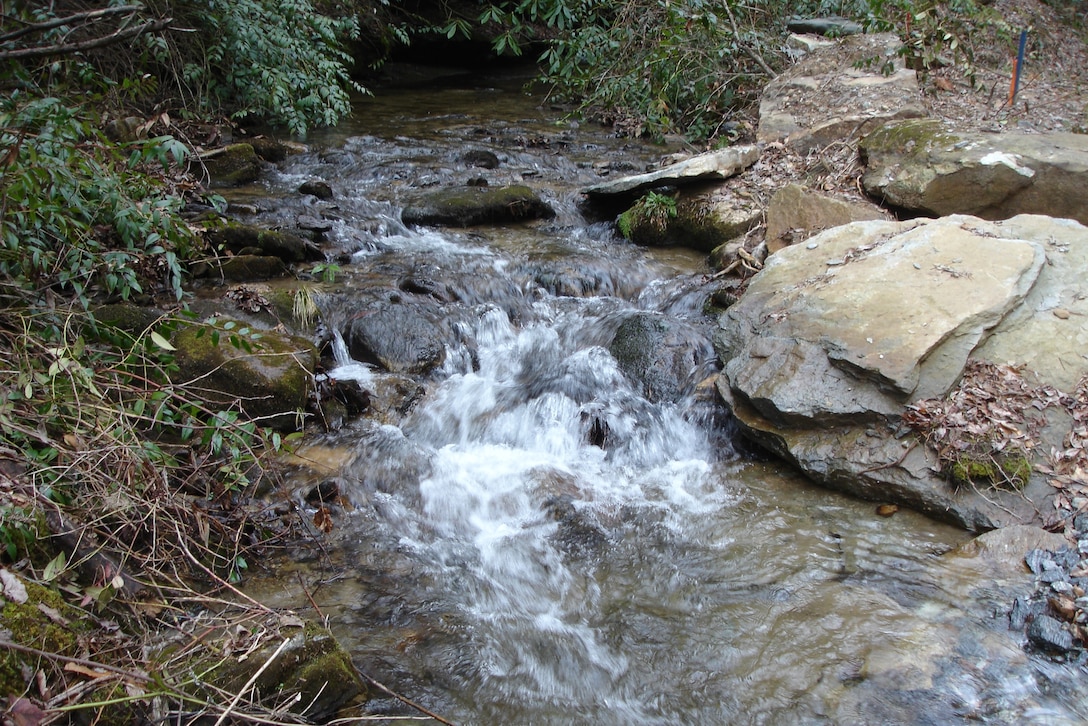 The Charleston District serves as the nation's environmental engineer regulating waters of the United States.