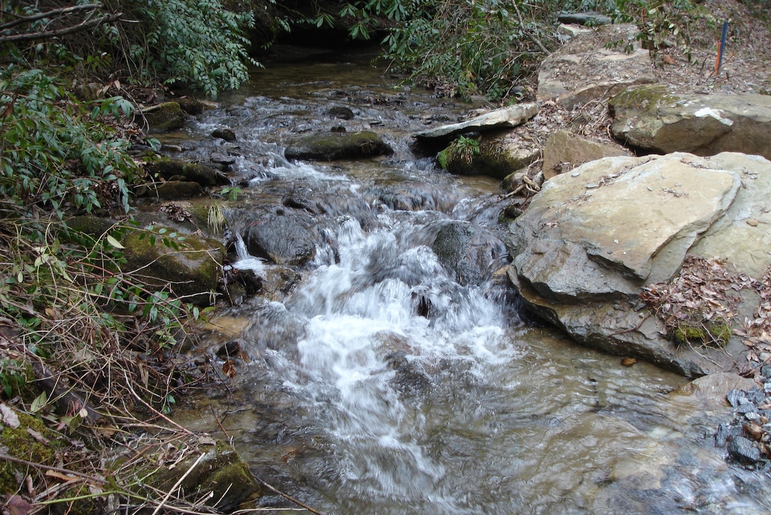 Stream in the Upstate