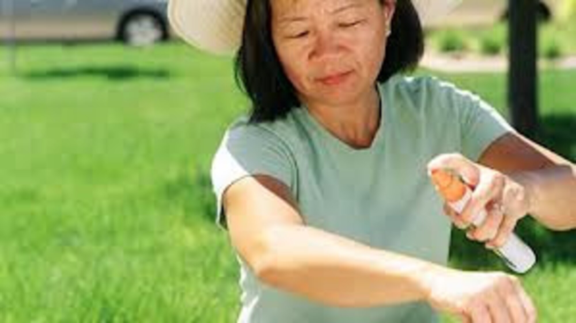 You, West Nile Virus and mosquitoes. (U.S. Government photo) 
 
