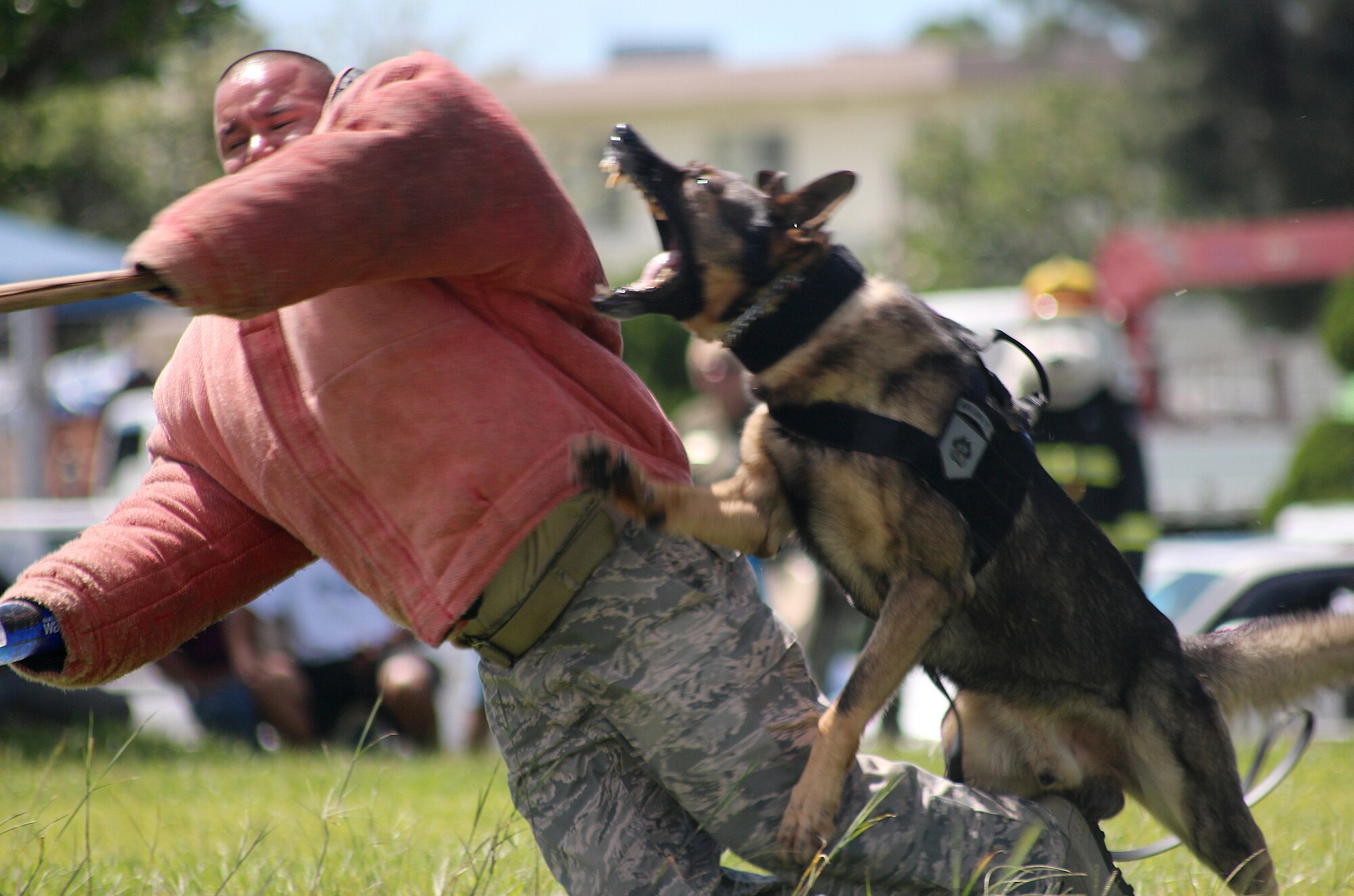 Tech. Sgt. Adolph Rodriguez, 18th Security Forces military working dog trainer, gets taken down by one of his coworkers during a demonstration at the 2012 Skoshi Warrior event on Kadena Air Base, Japan, Sept. 8, 2012. Nearly 300 children participated in the annual event designed to educate military children about deployments through various activities. (U.S. Air Force photo/Tech. Sgt. Jason Lake)