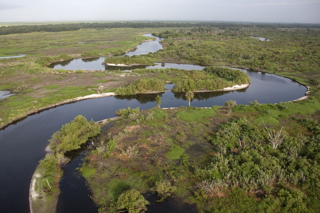 Everglades