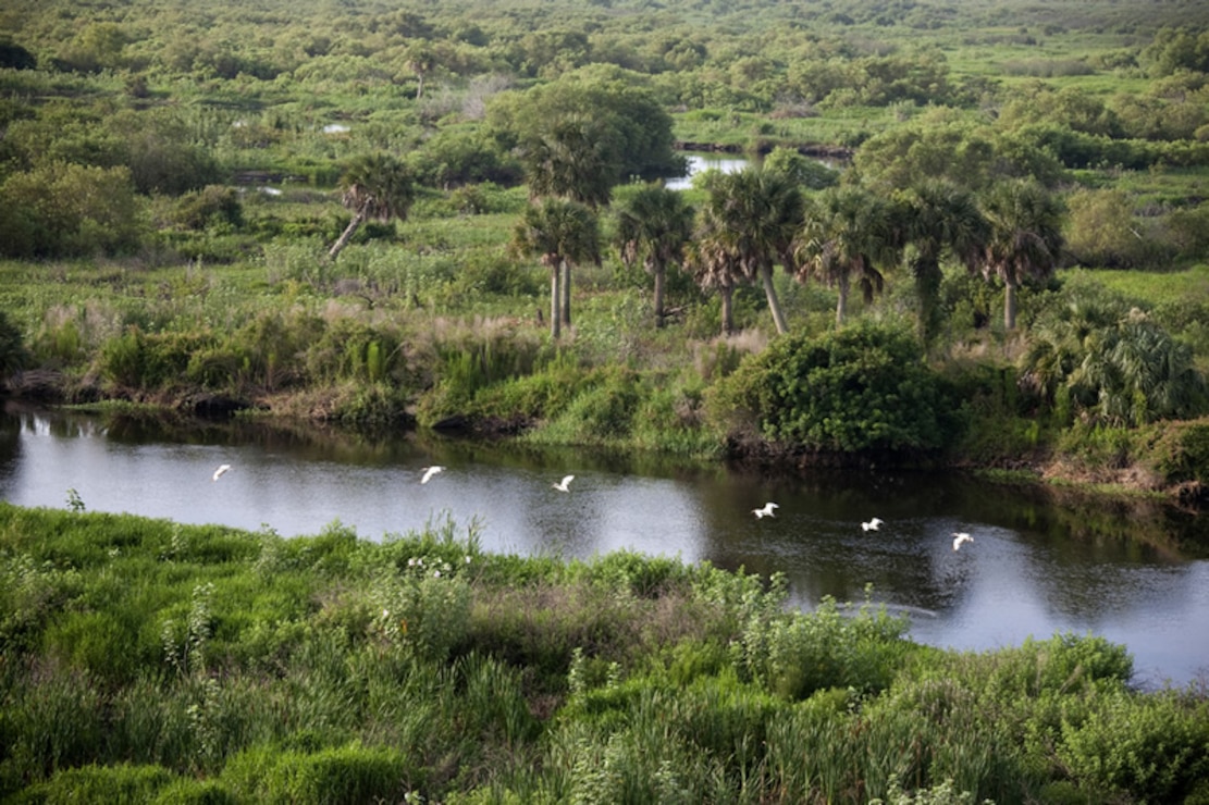 Everglades