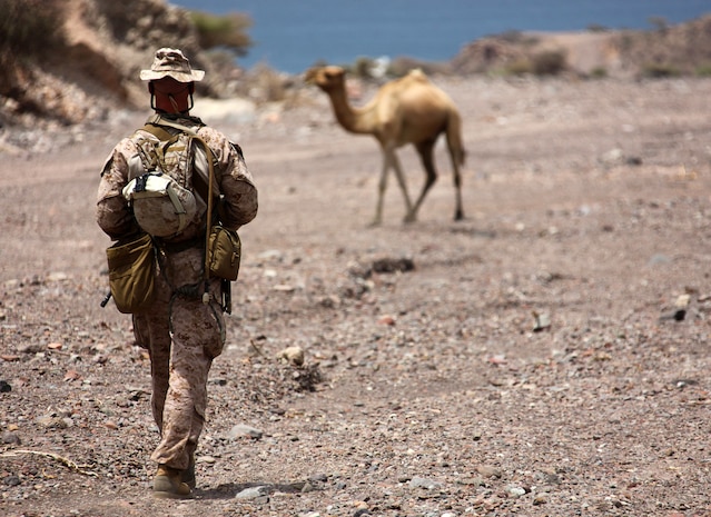 1st Lt. Michael Moore, platoon commander for 1st Platoon, Bravo Company, Battalion Landing Team 1st Battalion, 2nd Marine Regiment, 24th Marine Expeditionary Unit, crosses paths with Djiboutian wildlife as he walks back to camp after taking part in assault climber training with his Marines in Djibouti, Aug. 29, 2012.  The training is a part of a Training Force, or T-Force, package focused on primitive infantry skills. The 24th MEU is deployed with the Iwo Jima Amphibious Ready Group as a theater reserve and crisis response force throughout the U.S. Central Command in the Navy's 5th Fleet area of responsibility.