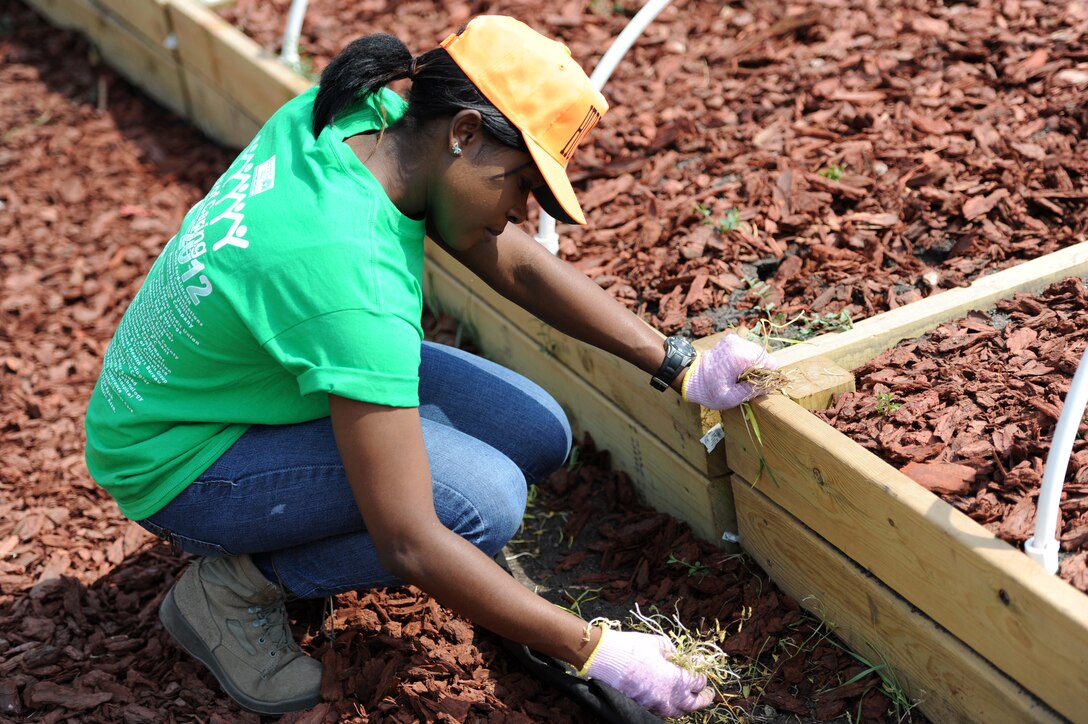 Airman 1st Class Precilla Lawrence, 28th Bomb Wing Judge Advocate paralegal, removes weeds from a garden plot at the South Dakota Game, Fish and Parks Outdoor Campus West in Rapid City, S.D., during the United Way of the Black Hills Day of Caring Sept. 6, 2012. Once a year, volunteers from across the Black Hills unite to complete community projects throughout the day – giving back to their communities and those less fortunate. (U.S. Air Force photo by Airman 1st Class Hrair H. Palyan/Released)