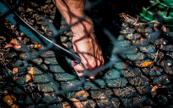 Senior Airman Alex Castillo, 437th Aircraft Maintenance Squadron jet mechanic, unhooks a hose he was using for power washing Sept. 7, 2012, at the Miracle League Ball Park in Summerville, S.C. Castillo and several other Airmen from the 437th Airlift Wing volunteered to prepare the park for the upcoming season. The Miracle League provides opportunities for individuals with disabilities to play baseball. The Day of Caring, organized locally by the Trident United Way, saw more than 8,500 volunteers working on more than 300 projects around the Lowcountry. (U.S. Air Force photo/Senior Airman Dennis Sloan)