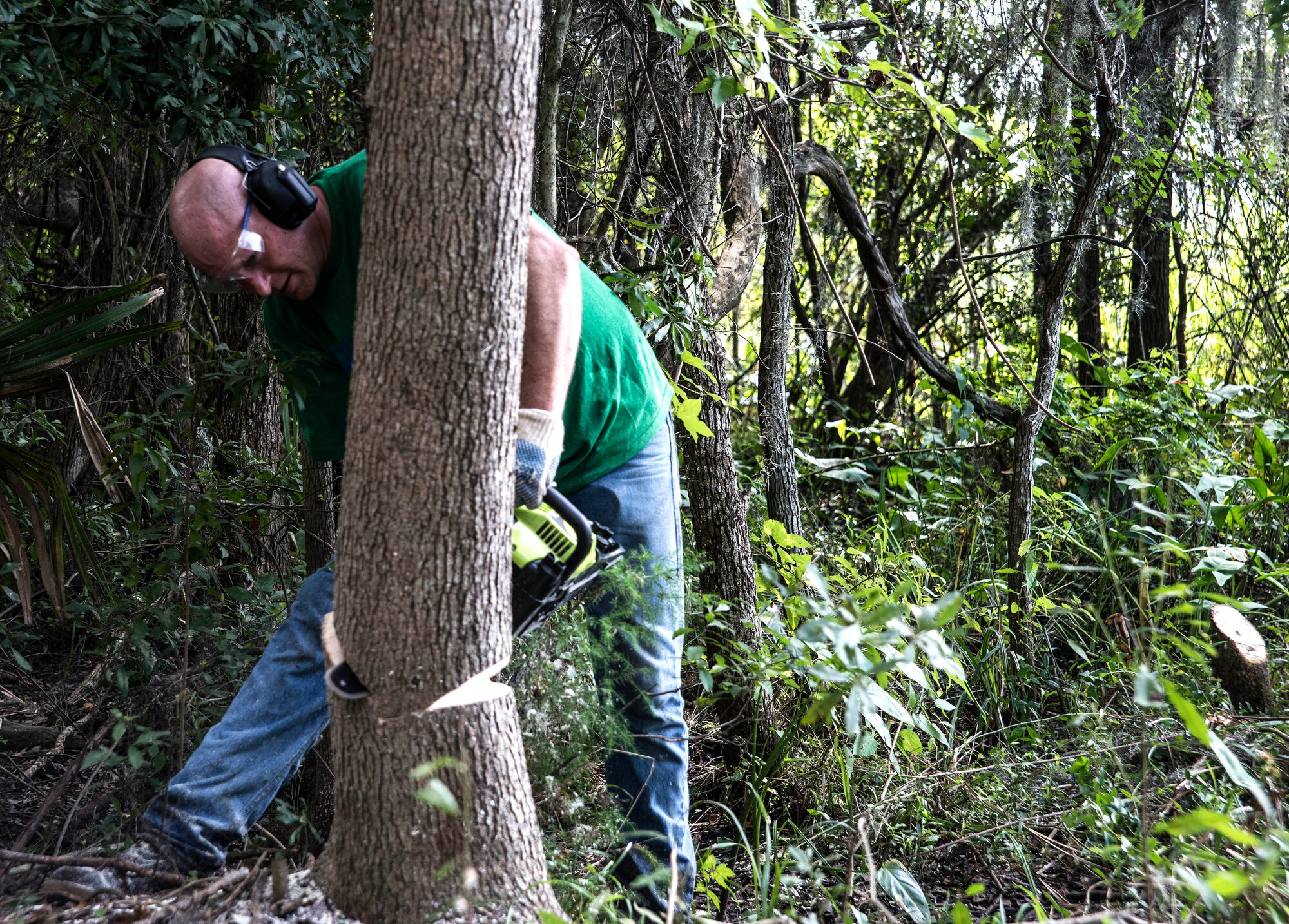 Master Sgt. Scott Kapanke, 437th Maintenance Squadron Accessories assistant flight chief, uses a chainsaw to cut down a tree to gain more access to a nearby lake at the Girl Scout Plantation on Sept. 7, 2012 in Cordesville, S.C.  Various units of JB Charleston participated in aiding restoration of the facilities on the camp.  The Day of Caring, organized locally by the Trident United Way, saw more than 8,500 volunteers working on more than 300 projects around the Lowcountry.
