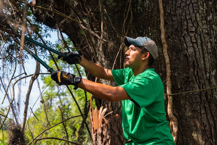 Capt. Adam Tan, 628th Air Base Wing Judge Advocate general lawyer, of Joint-Base Charleston-Air Base, S.C. uses cutters to help clear an area by a lake at the Girl Scout Plantation on Sept. 7, 2012 in Cordesville, S.C.  Various units of JB Charleston participated in aiding restoration of the facilities on the camp. The Day of Caring, organized locally by the Trident United Way, saw more than 8,500 volunteers working on more than 300 projects around the Lowcountry.