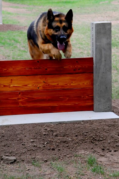 Sano, 86th Security Forces Squadron military working dog, jumps over a hurdle during a run through of the new K-9 obstacle course Sept. 11, 2012, on Ramstein Air Base, Germany. The new obstacle course is made of concrete to prevent deterioration from snow, wind, rain and foot traffic. (U.S. Air Force photo/Airman 1st Class Hailey Haux)