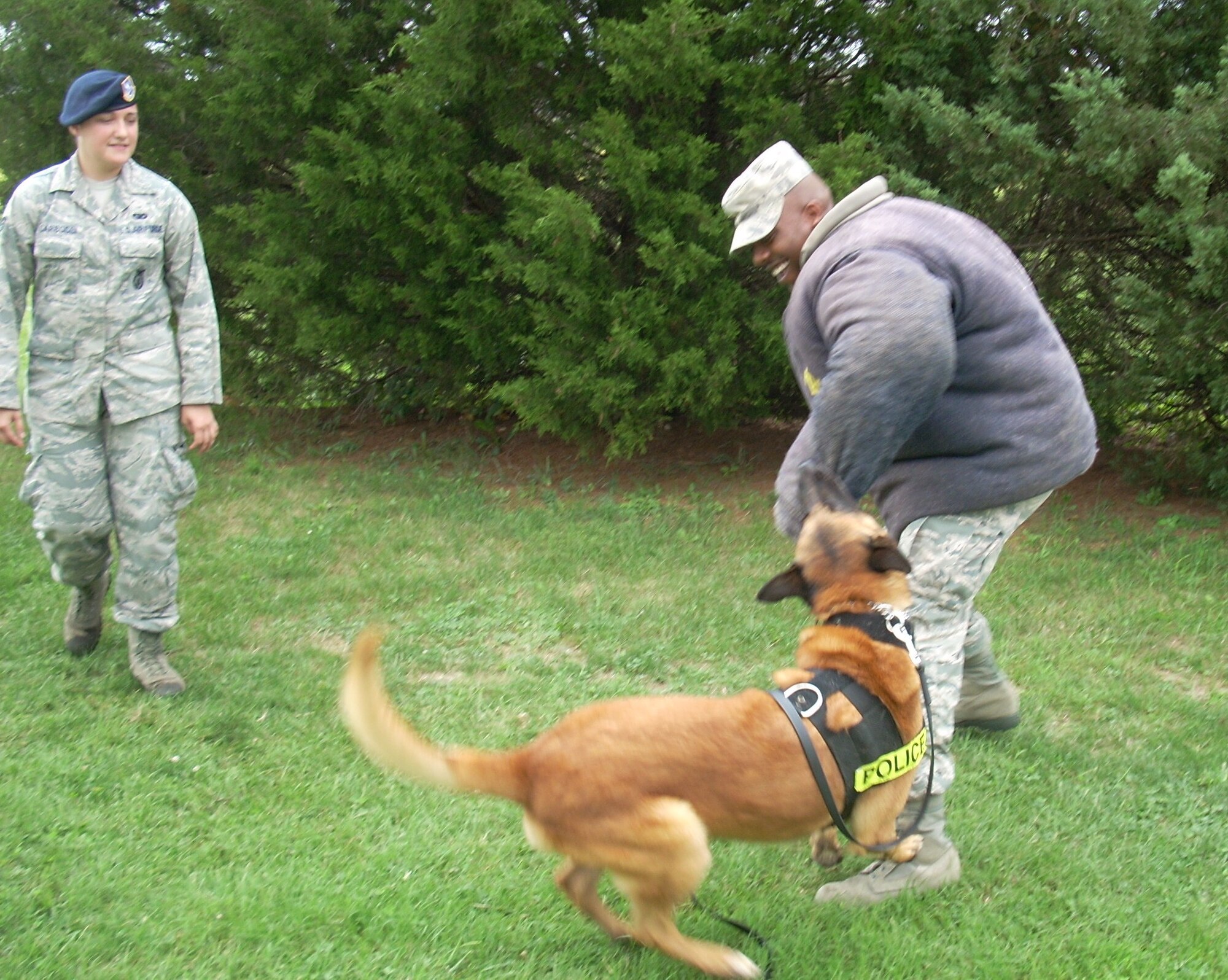 Senior Airman Ellis Robinson, an Air Force Reserve finance technician with the 512th Airlift Wing, endures an attack by military work dog Renzo Sept. 8, 2012, as part of a demonstration during the 512th Airlift Wing's annual Employer Appreciation Day. Watching is dog handler Senior Airman Tatiana Carbocci of the 436th Security Forces Squadron. Robinson, a finance technician, welcomed his civilian supervisor, Scott Vietz, from Handy Tube in Camden, Del. to the event, which drew 23 employers. (U.S. Air Force photo by Chief Master Sgt. Matt Proietti)