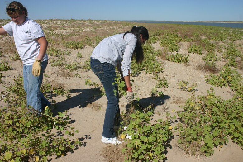 JOHN MARTIN RESERVOIR, Colo., -- Two members of the Las Animas Junior High “Pure Gold” working group pull weeds by hand to clear the areas that will be used for nesting by endangered species.  They were participants in the 2011 National Public Lands Day. 