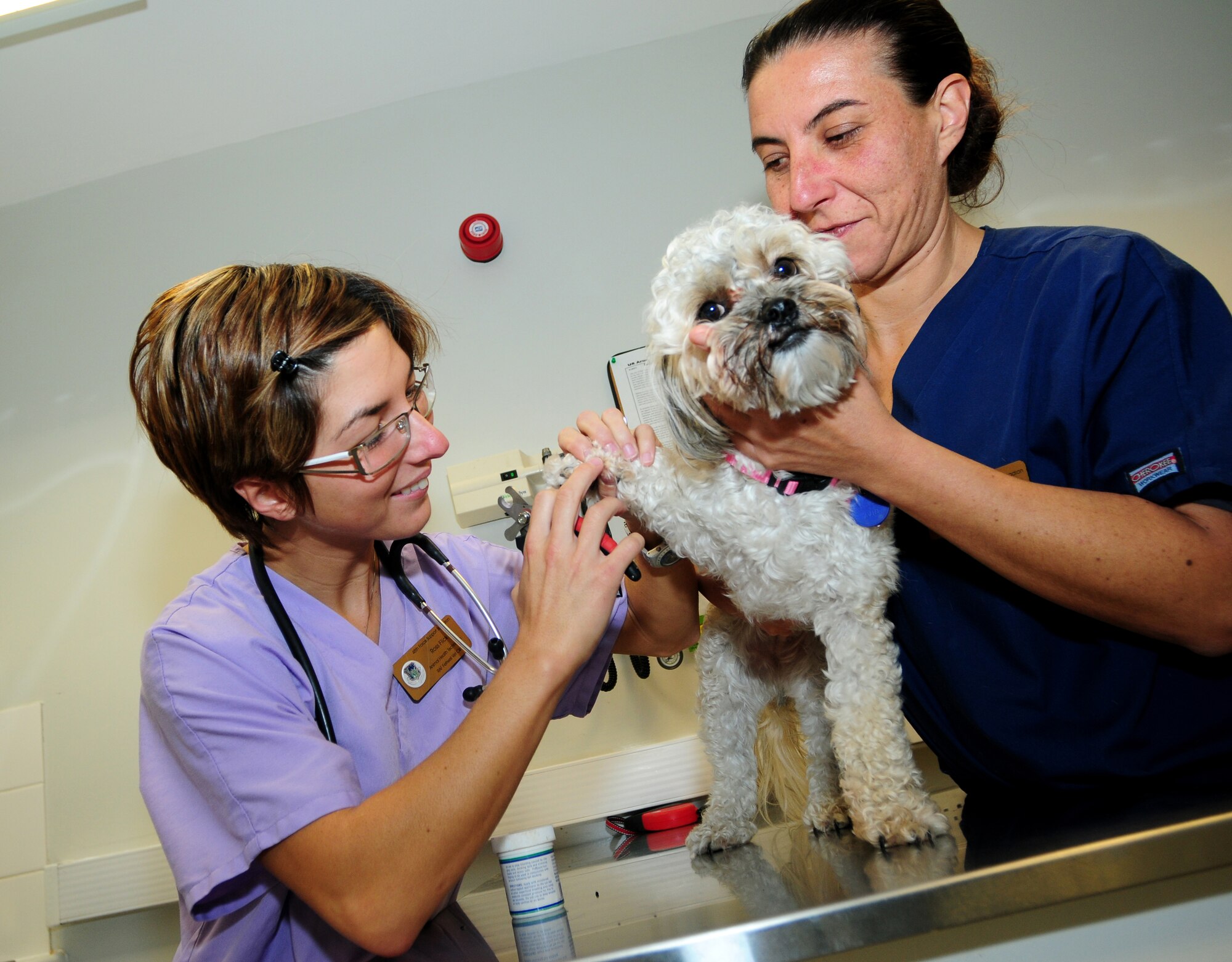 ROYAL AIR FORCE FELTWELL, England –Ross Flick, RAF Feltwell Veterinary Clinic animal health technician, clips Cherry the yorkie’s nails while being held by Dariela Iacopini, RAF Feltwell Veterinary Clinic veterinarian, during an appointment Sept. 13, 2012. The Veterinary Clinic provides medical care to pets of servicemembers from all across England, as well as providing care to military working dogs. (U.S. Air Force photo by Airman 1st Class Cory D. Payne)