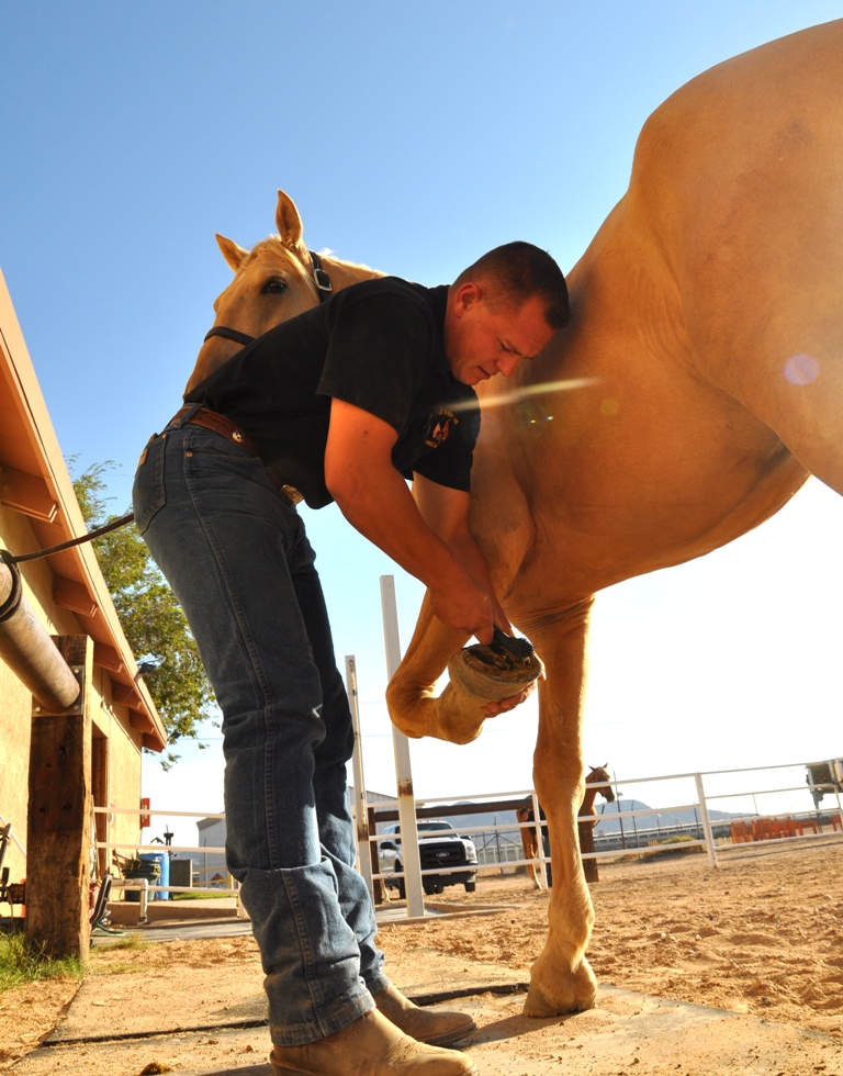 Sergeant Darren Cole, a stableman with the Marine Corps Mounted Color Guard aboard Marine Corps Logistics Base Barstow cleans the hooves of Sunny, one of several horses the MCG rides during their events. The Mounted Color Guard participates in parades, ceremonies, and rodeos across the country. 