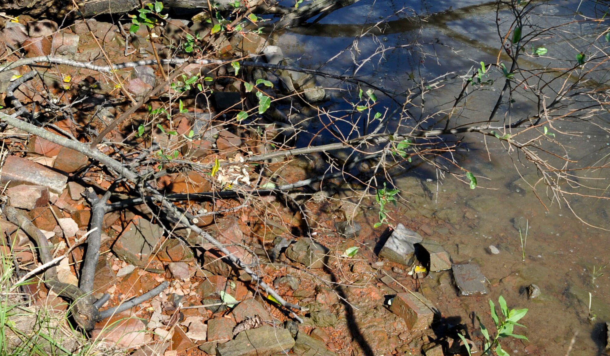 Bricks from the Davis and Kimpton Brickyard lie submerged in mud along the shore of the Warwick River at Fort Eustis, Va., Sept. 14, 2012. These bricks were likely “waste bricks,” or unusable product, from the brickyard, usually re-purposed as paving stone or dam supports. (U.S. Air Force photo by Staff Sgt. Wesley Farnsworth / Released)