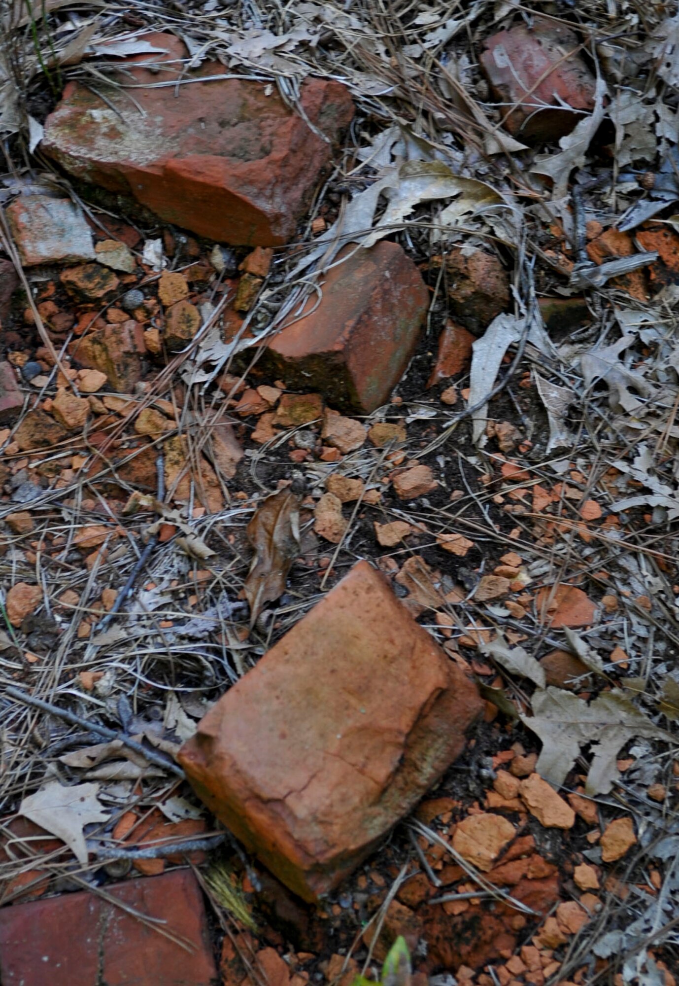 Fragments of bricks from the Davis and Kimpton Brickyard lay scattered in and across the ground at Training Area #23 in Fort Eustis, Va., Sept. 14, 2012. The brickyard is one of 230 archaeological sites on the installation. (U.S. Air Force photo by Staff Sgt. Wesley Farnsworth / Released)