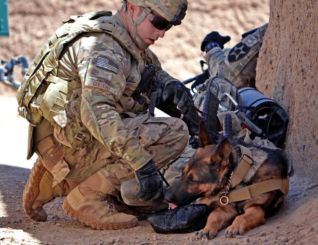 U.S. Air Force Staff Sgt. Nathan Goedert and his military working dog, Jacob, find some shade during Operation Southern Strike III in Jandad Kalay village in the Spin Boldak district of Afghanistan's Kandahar province, Sept. 9, 2012. Goedert is a military working dog handler.