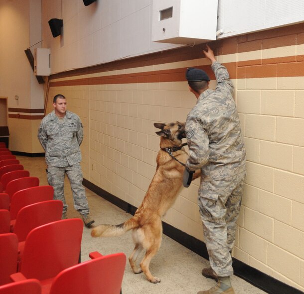 Tech. Sgt. Clayton Tebbetts, 2nd Security Forces Squadron canine handler, observes Staff Sgt. Jason Havinga, 2 SFS canine handler, and military working dog Kuno search for areas with explosives during an detection exercise in the base theatre on Barksdale Air Force Base, La., Sept. 19. The MWDs and their handlers train around 100 hours every month to polish their skills in case of an incident on base or in preparation for deployments. (U.S. Air Force photo/Senior Airman Kristin High)(RELEASED)