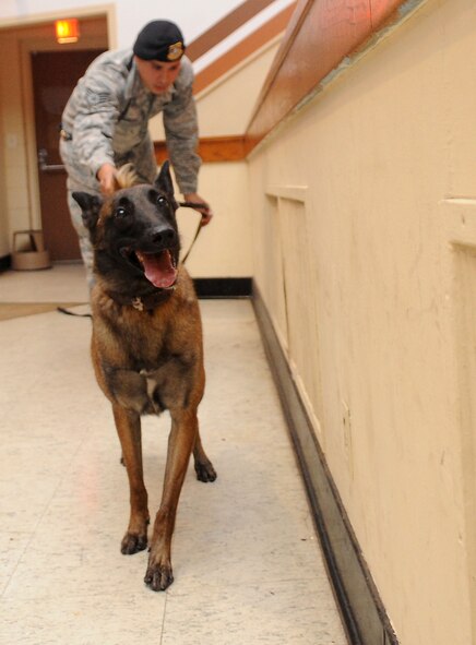 Staff Sgt. Miguel Rodriguez, 2nd Security Forces Squadron canine handler, and military working dog Zzeki search air-intake vents during an explosives detection exercise in the base theatre on Barksdale Air Force Base, La., Sept. 19. Zzeki, along with the other MWDs and their handlers, conduct various training exercises 2 to 3 times a week to polish their skills in case of an incident on base or in preparation for deployments. (U.S. Air Force photo/Senior Airman Kristin High)(RELEASED)