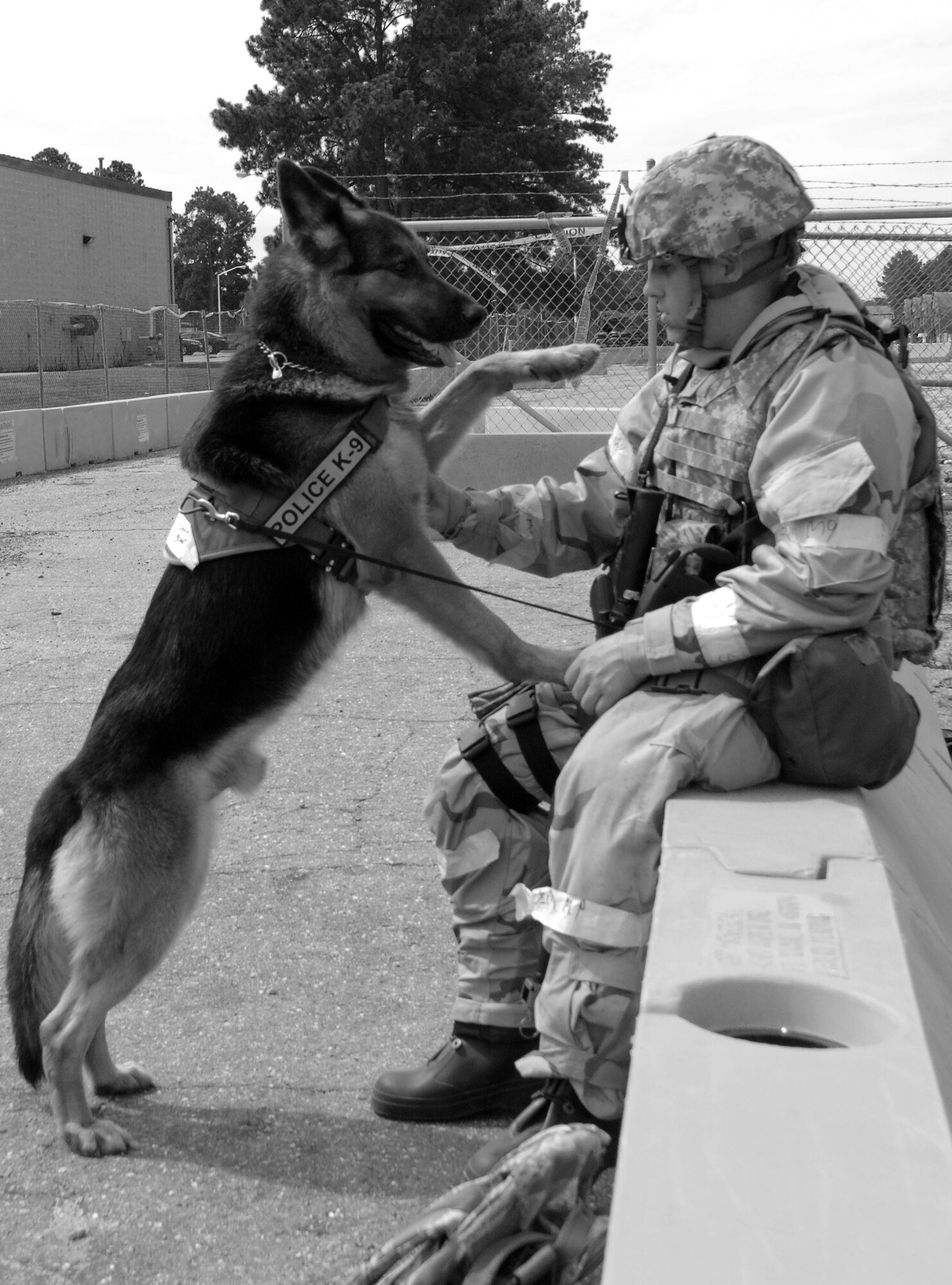 U.S. Air Force Staff Sgt. Bruce Weir, 4th Security Forces Squadron military working dog handler, pets MWD Kery while taking a break during Operational Readiness Exercise Coronet Warrior 12-04 a Base X on Seymour Johnson Air Force Base, N.C., Sept. 20, 2012. According to Weir, the connection between a handler and their dog is important because they must trust each other in order to complete the mission. (U.S. Air Force photo/Airman 1st Class Aubrey Robinson/Released)